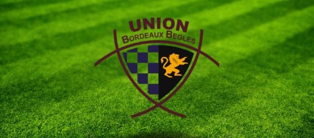 TOP 14 - UBB : Tauleigne K.-O. et forfait contre Paris - Rugby ... - sports.fr TOP 14 - UBB : Tauleigne K.-O. et forfait contre Paris - Rugby ... - sports.fr