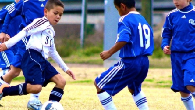 L'osteoporosi ha origine nell'infanzia - centropsicologiamiv.com