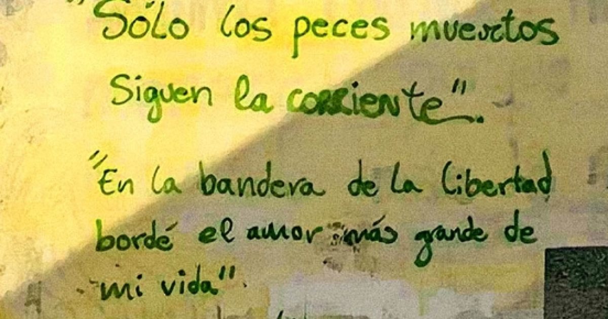Remar contra corriente en Catalunya