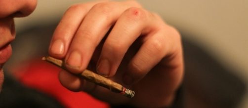 Marijuana sales continue to skyrocket in Colorado - martinalonso4895/Flickr.com CC