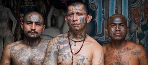 Os Mara Salvatruchas possuem a tatuagem como um elemento ritualístico de importância fundamental para o grupo.