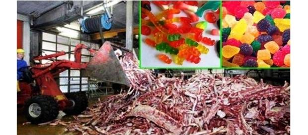 Alguns alimentos usam ingredientes nojentos Alguns alimentos usam ingredientes nojentos