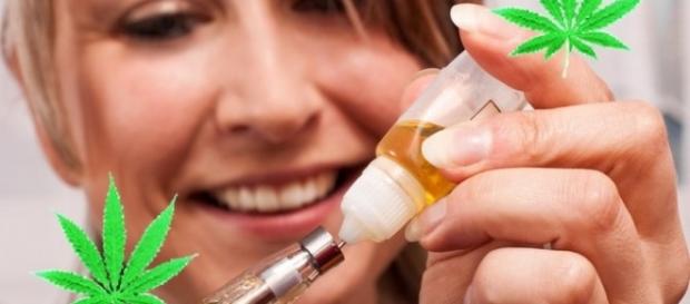 Le CBD, substance présente dans le cannabis Le CBD, substance présente dans le cannabis