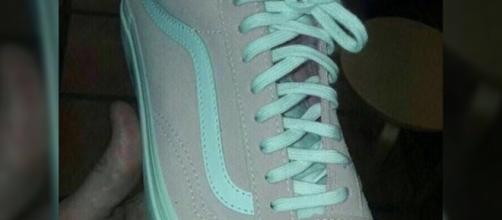 Di Che Colore Sono Le Primule