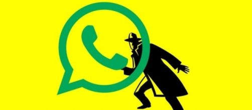 WhatsApp 'se ne frega' della vostra privacy