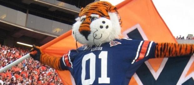 Auburn tigers release WR Kyle Davis - merbenz via Wikimedia Commons Auburn tigers release WR Kyle Davis - merbenz via Wikimedia Commons