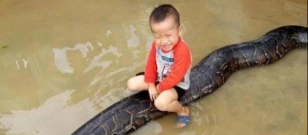 Criança brinca com cobra gigante (Foto: Captura de vídeo) Criança brinca com cobra gigante (Foto: Captura de vídeo)