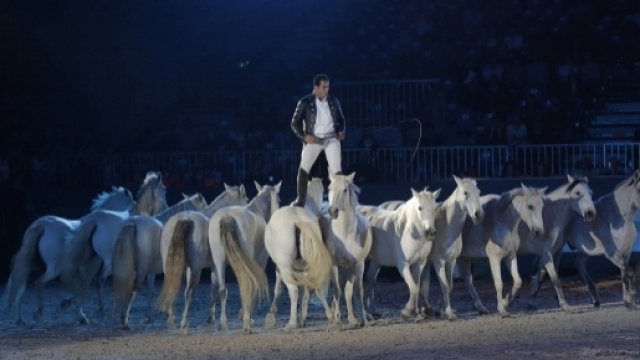 Fieracavalli 2017: sport e spettacolo per tutti
