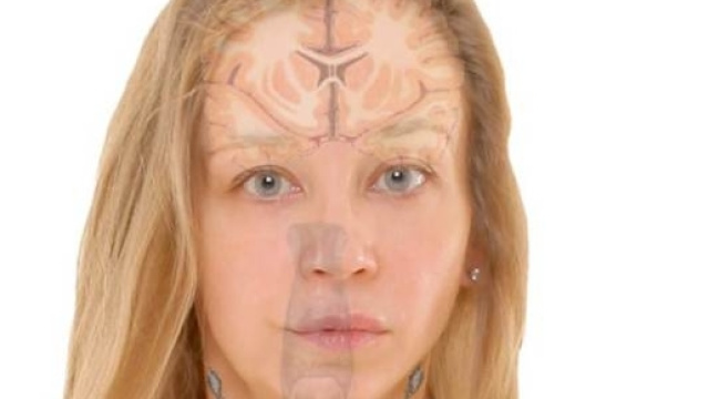 Il cervello delle donne reagisce in maniera pi&ugrave; massiccia e decisa ai comportamenti prosociali rispetto a quello maschile.