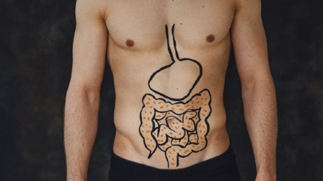 Il microbiota integro è l'elisir di lunga vita