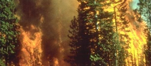 Wildfires erupted in Northern California recently. Photo by BLM/Wikimedia Commons