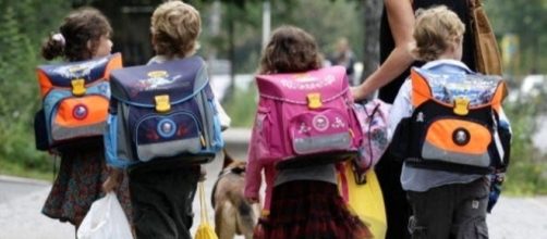 Stella, il cane randagio che accompagna i bambini a scuola - avellinotoday.it