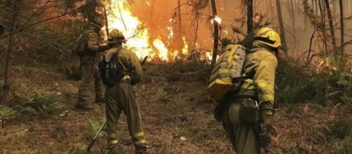 Una plaga de incendios intencionados quema 4.000 hectáreas en ... - diariocordoba.com
