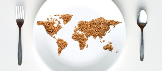 Dia 16 de outubro: Dia Mundial da Alimentação Dia 16 de outubro: Dia Mundial da Alimentação