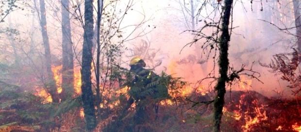 Galícia registrou centenas de desabrigados com os incêndios florestais Galícia registrou centenas de desabrigados com os incêndios florestais