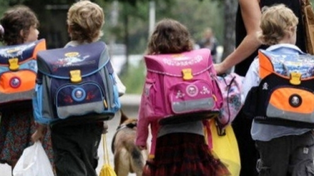Stella, il cane randagio che accompagna i bambini a scuola - avellinotoday.it