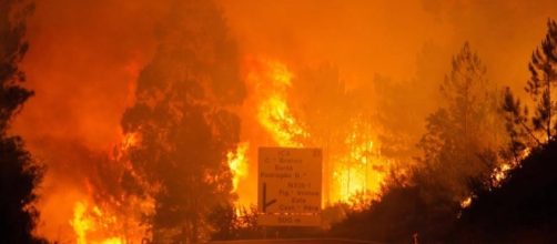 El incendio forestal que arrasa el centro de Portugal deja 62 ... - navarrainformacion.es