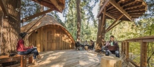 Microsoft has created treehouse work spaces for employees/Image Credit: Microsoft Blog