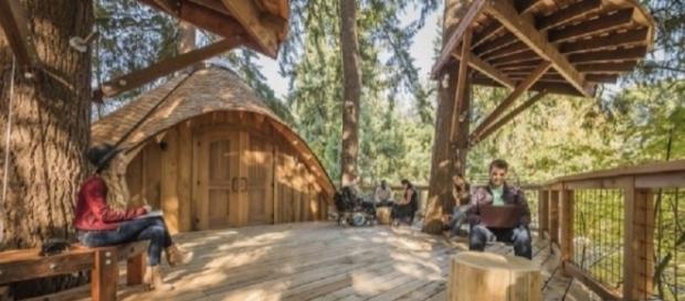 Microsoft has created treehouse work spaces for employees/Image Credit: Microsoft Blog Microsoft has created treehouse work spaces for employees/Image Credit: Microsoft Blog