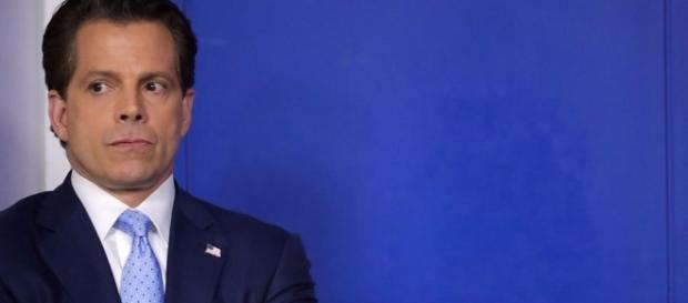 Scaramucci's rise and fall on Wall Street and in the White House ... - businessinsider.com Scaramucci's rise and fall on Wall Street and in the White House ... - businessinsider.com
