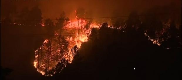 Wildfires allegedly set on purpose remain uncontrolled. mage Credits: AFP news agency/ YouTube screencap Wildfires allegedly set on purpose remain uncontrolled. mage Credits: AFP news agency/ YouTube screencap