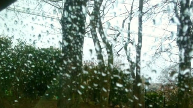 Meteo fine ottobre 2017, piogge e freddo in arrivo