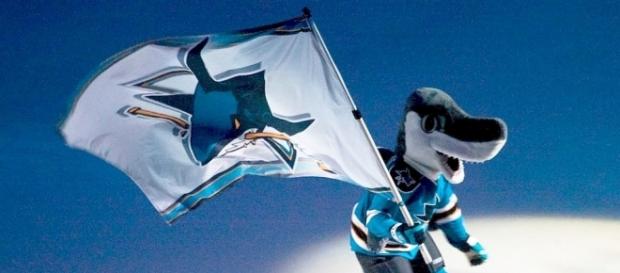 Sharks fly flag of victory, image credit: https://commons.wikimedia.org/wiki/File:Sharkie_with_flag.jpg Sharks fly flag of victory, image credit: https://commons.wikimedia.org/wiki/File:Sharkie_with_flag.jpg