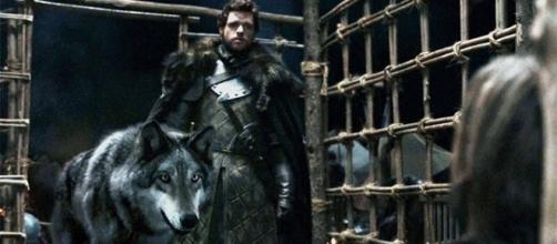 Juego de Tronos: ¡Todo lo que no sabes sobre los lobos gigantes de los Stark!