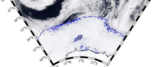 Immagine satellitare della polinia