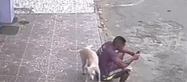 Cão urina em rapaz sentado na calçado e vídeo viraliza Cão urina em rapaz sentado na calçado e vídeo viraliza