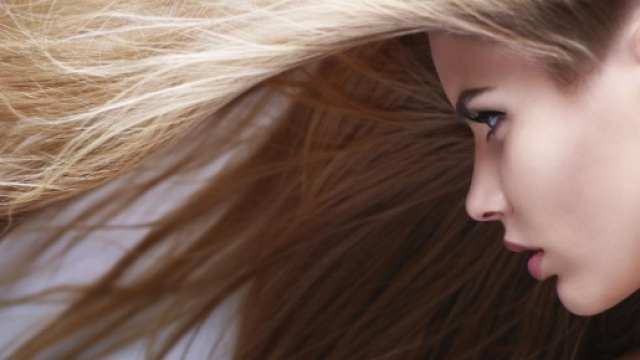 My Personal Trainer 1192 x 793