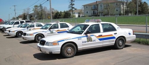 Cars of Royal Canadian Mounted Police (Image credit – Dickelbers – Wikimedia Commons)