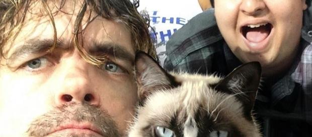 As selfies mais inusitadas de todos os tempos As selfies mais inusitadas de todos os tempos