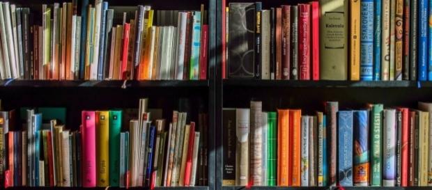Libreria, come organizzarla? Pro e contro di ogni criterio Libreria, come organizzarla? Pro e contro di ogni criterio