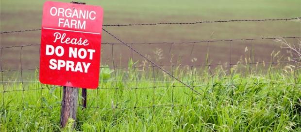 Photo Credit: The Organic and Non GMO Report Ken Roseboro Photo Credit: The Organic and Non GMO Report Ken Roseboro