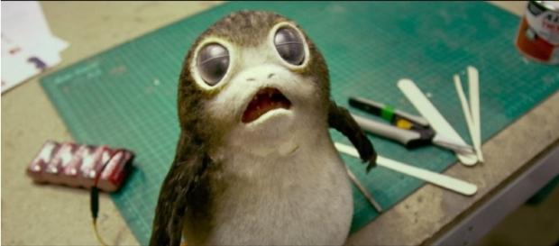 What are Porgs? - Star Wars: The Last Jedi | HelloGreedo/YouTube Screenshot What are Porgs? - Star Wars: The Last Jedi | HelloGreedo/YouTube Screenshot