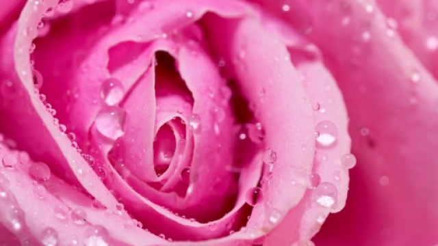 Le vagin | Fil sant&eacute; jeunes - filsantejeunes.com