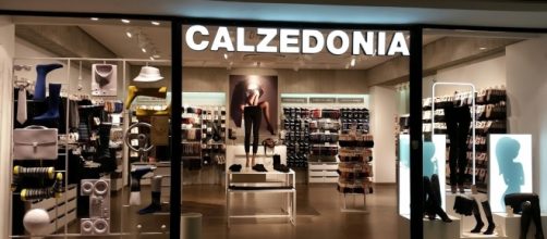 Gruppo Calzedonia: offerte di lavoro a ottobre.