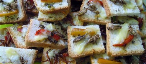 Insetti a tavola, il cibo del futuro Insetti a tavola, il cibo del futuro