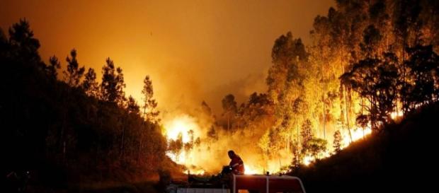 Incêndios em Portugal mataram várias dezenas de pessoas Incêndios em Portugal mataram várias dezenas de pessoas