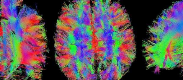 Nuove scoperte scientifiche sull'orgasmo femminile Nuove scoperte scientifiche sull'orgasmo femminile