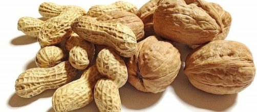 October 22 is National Nut Day [Sherry/pixabay.com]