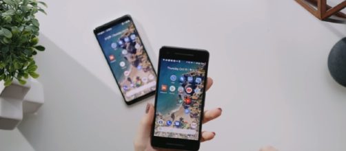 Some Pixel 2 XL users are having difficult times to launch the smartphone’s Portrait Mode feature. [Image Credit: Linus Tech Tips/YouTube]