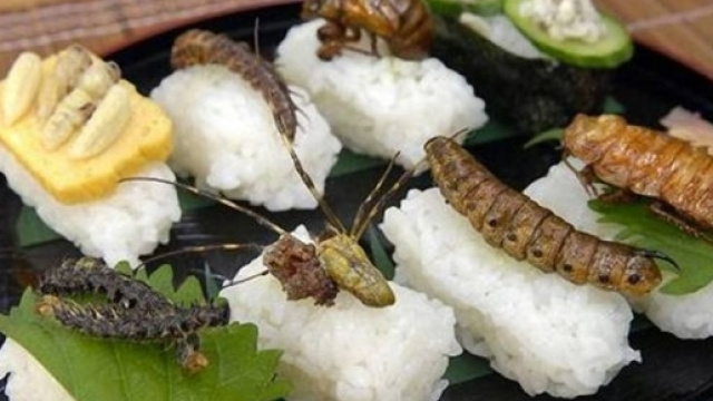 Expo, gli insetti cibo del futuro per far fronte - gazzetta.it