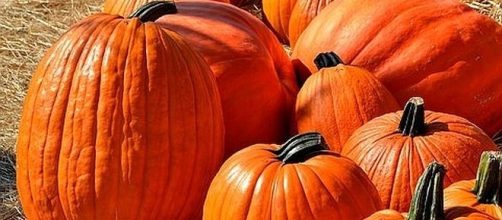 October 26 is National Pumpkin Day [Image: paulbr75/pixabay.com]