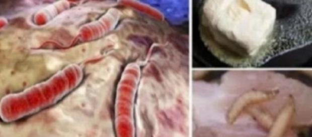 Alguns alimentos que podem e devem ser evitados Alguns alimentos que podem e devem ser evitados