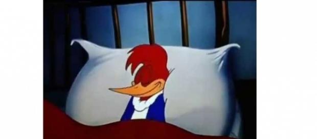Desenho dos anos 40 "O Pica Pau": como dormir tranquilamente Desenho dos anos 40 "O Pica Pau": como dormir tranquilamente