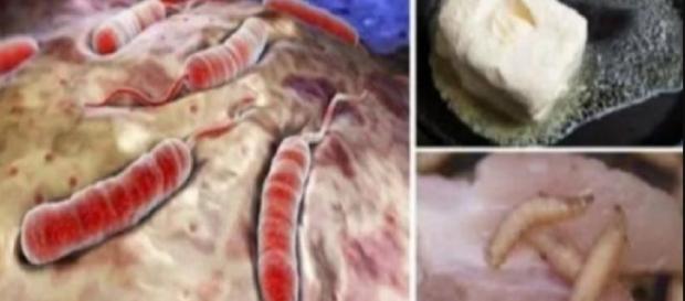 Pare de comer esses alimentos - Google Pare de comer esses alimentos - Google
