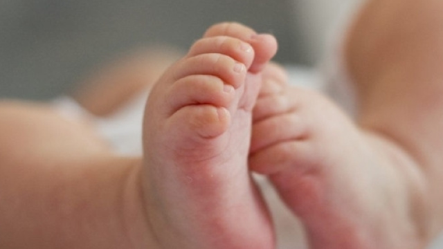 &Agrave; Toulouse, des parents d&eacute;cident d'appeler leur enfant&hellip; Jihad