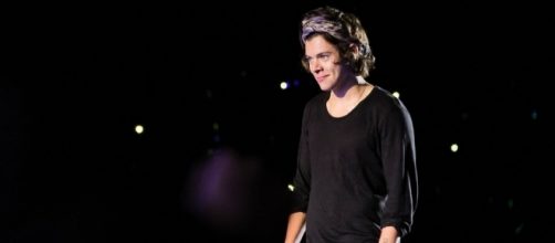 Harry Styles' alleged groping incident onstage outraged fans. (Image Credit: Javierosh/Flickr)